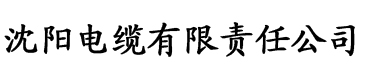 午夜天堂电缆厂logo